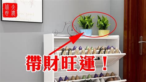 鞋櫃上可以放什麼植物|鞋櫃上適合放什麼植物